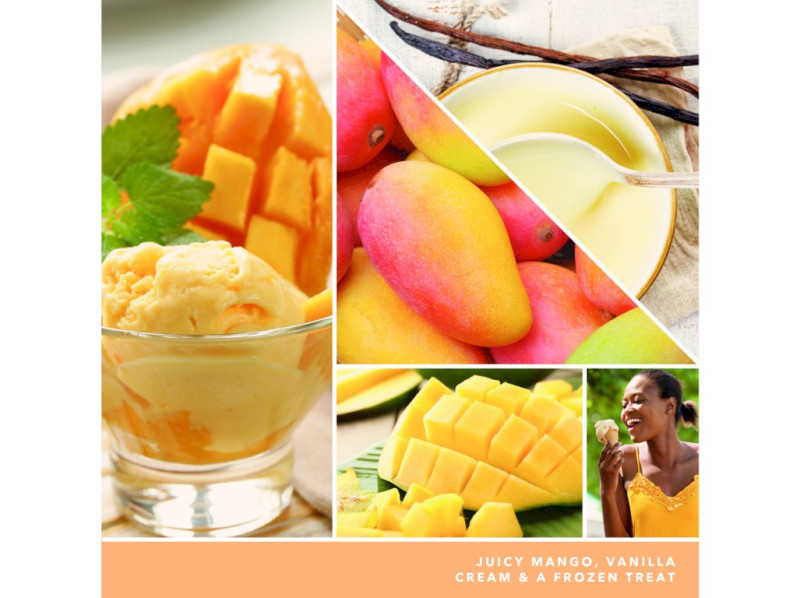 40788_MANGO ICE CREAM - KOPIE (4)